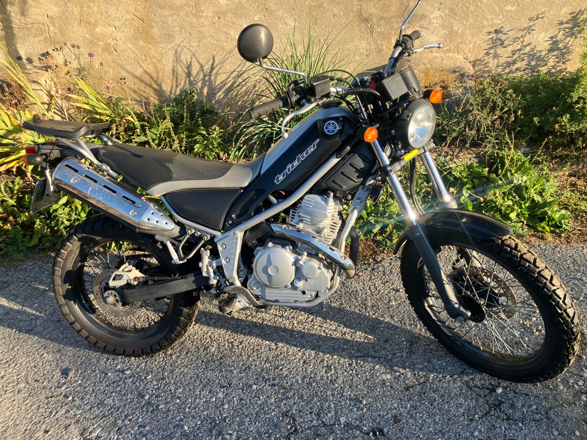 Yamaha Tricker xg 250 
